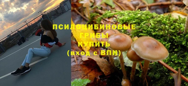 первитин Алексеевка