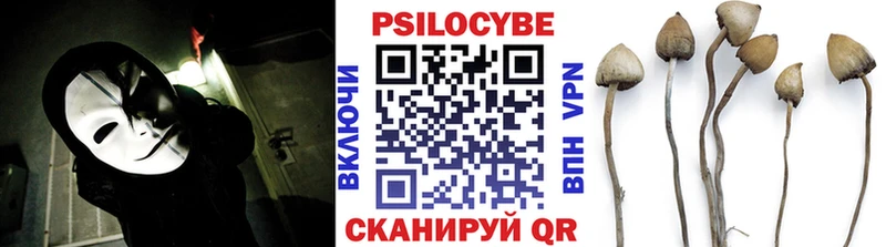 Псилоцибиновые грибы GOLDEN TEACHER Каневская