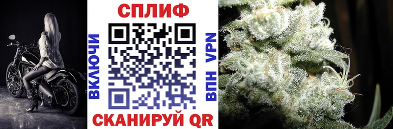 хочу наркоту  Каневская  дарк нет Telegram  Канабис сатива 